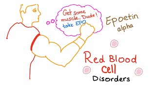 Erythropoietin EPO amp Red Blood Cells RBCs  Oxygenation  Endurance  Exercise [upl. by Winola]