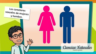 Caracteres Sexuales de Mujeres y Hombres  CIENCIAS  ✨CUARTO GRADO✨ [upl. by Drehcir]