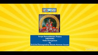 Surya Namaskaram Prasna ARUNAM Veda Parayanam by SriUVeThiruayindhai Malola Kannan Swami [upl. by Kazim]