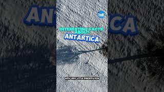 Antarcticas Hidden Wonders Finally Exposed [upl. by Ricketts]