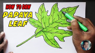 How to draw easy Papaya leaf drawing step by step easy  simple drawing [upl. by Yeta747]