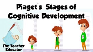 Jean Piaget’s Theory of Cognitive Development [upl. by Niahs]