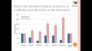 POWER POINT VIDEO  IN VITRO EFFECTIVENESS OF SAMENTO AND BANDEROL ON FORMS OF BORRELIA BURGDORFERI [upl. by Kirch435]