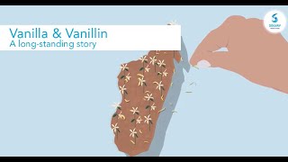 Vanilla amp Vanillin a longstanding story [upl. by Lleoj927]