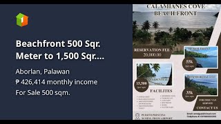 Beachfront 500 Sqr Meter to 1500 Sqr Meter Beach Property Sale in Aborlan Palawan [upl. by Quill]