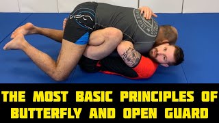 The Most Basic Principles Of Butterfly And Open Guard by Gordon Ryan [upl. by Flossi138]