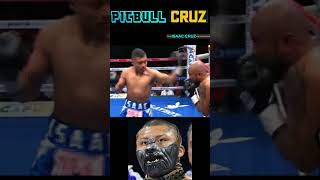 PITBULL CRUZ HIGHLIGHTS unexpected early Retirement boxing PitbullCruz isaacCruz [upl. by Powell]