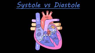 The difference between systole and diastole [upl. by Aranaj]