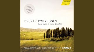 Cyprise Cypresses  B 11 No 1 Vy vrouci pisne pjeite Sing fervent songs [upl. by Ardnaskela832]