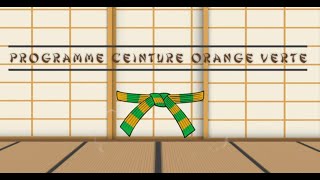 Ceinture ORANGE VERTE Programme du Passage de Grade Judo [upl. by Eiliah]