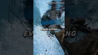 Juicewrld Everlasting love lyrics JuiceWRLD subscribe musiclyrics forsonnwosuquote [upl. by Asseneg]