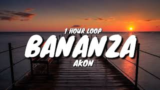 Akon  Bananza 1 HOUR LOOP TIkTok Song [upl. by Asinla881]