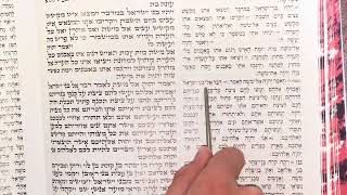 PARSHAS SHELACH TORAH READING SHVI’I 7TH ALIYAH [upl. by Nahum]