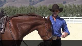 The difference between a hackamore and a rope halter  or sidepull [upl. by Disini]