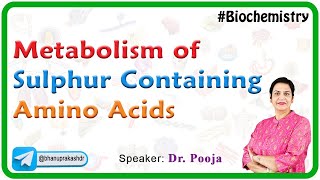 Metabolism Of Sulphur Containing Amino Acids  Biochemistry [upl. by Christianity]