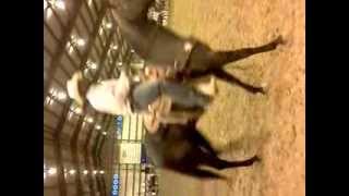 Glovers Legacy Rodeo in Hearne Tx [upl. by Elaweda]