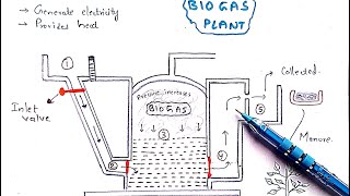 Methane production  Biogas plant  Working  Mechanism  Methanogens  Biogas production [upl. by Ulrikaumeko]