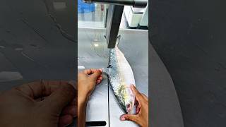 Amazing giant river super fresh Hilsha fish cutting skills fish market fish shorts fishlaver [upl. by Selda]