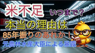 米不足はいつまで？本当の理由は金持ちどものアレ [upl. by Adnaerb]