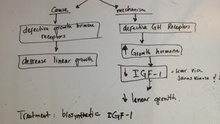 Laron dwarfism  cause and mechanism What is it why and treatment [upl. by Hoeve]