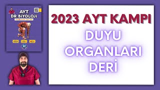 Duyu organları  Deri AYT Biyoloji Kampı Konu Anlatımı 11Sınıf 2024 Tayfa [upl. by Juanita]