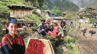 Unseen Pakistani Village Life at Top of Coldest Mountain  Ancient Culture  Stunning Pakistan [upl. by Natsud]