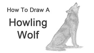 How to Draw a Wolf Howling [upl. by Anire]