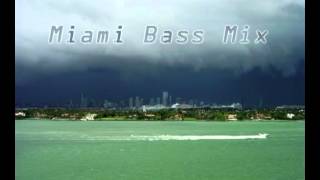 Leeroy Thornhill  Miami Bass Mix [upl. by Sadiras]