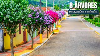 8 ÁRVORES NATIVAS BRASILEIRAS PARA JARDINS E CALÇADAS [upl. by Parry]