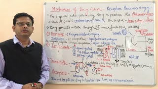 Mechanism of Action of Drug  Enzyme  Ion Channel Transporter and Receptor  Receptor Pharmacology [upl. by Krum]