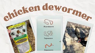 Deworming Chickens with Fenbendazole Safe Guard brand [upl. by Bang658]