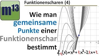 4 gemeinsame Punkte einer Funktionenschar bestimmen [upl. by Mientao]