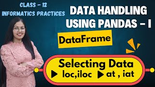 Selecting Data iloc loc at iat  Data Handling using Pandas  I  Class 12 Informatics Practices [upl. by Kirsch109]