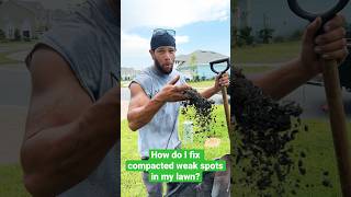 How do I fix compacted weak spots in my St Augustine Grass Top dressing tips staugustinegrass [upl. by Devora]