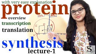 Protein synthesis \ dna transcription and translation \ protein synthesis from DNA lecture1 [upl. by Ing]