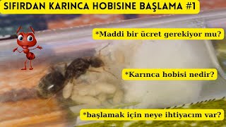 Sıfırdan karınca hobisine başlamak 1 karınca hobisi nedir nasıl yapılır nelere ihtiyaç vardır [upl. by Akelam757]