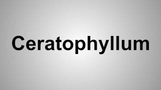 How To Pronounce Ceratophyllum [upl. by Derraj]