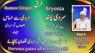 Rumex crispus vs bryonia  nervous pains affected by cold Nux vomica Mag phos Silicea [upl. by Aicenod147]