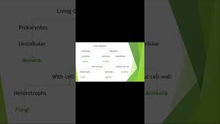 Classification of living organisms shortvideo biology science [upl. by Eulalia]