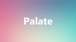 Palate  Medical Meaning and Pronunciation [upl. by Ancalin]