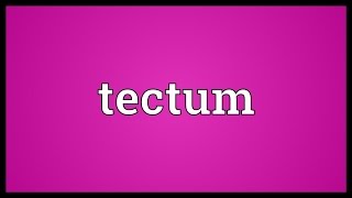 Tectum Meaning [upl. by Vasiliu654]