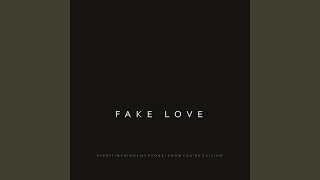 Fake Love Original Mix [upl. by Ynnam551]