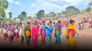 Adivasi Video Song 2025  Adivasi Best Timli Dance  Adivasi Superhit Timli Song Adivasi Culture [upl. by Bald]