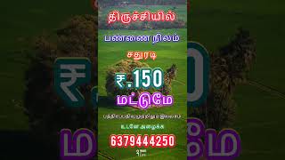 Trichy Farm land for sale interested investment people call now trichyupdates 6379444250 [upl. by Yngiram]