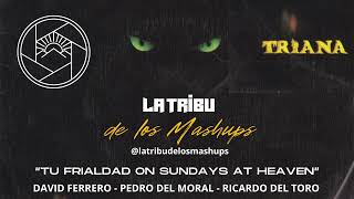 La Tribu de los Mashups  Tu Frialdad on Sundays at Heaven Triana vs J Velarde amp Luque Mashup [upl. by Orfield]