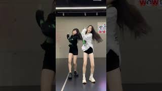 Learn Latest Dances TikTok Compilation October 2024 dance trends [upl. by Nivk]