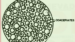 EvolutionOrigin of lifeL5 Protobiontscoacervates and microspheres class12th [upl. by Forster615]