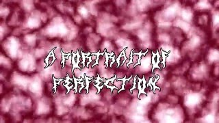 Infant Annihilator  Bathed In Placenta Lyrics on Screen [upl. by Radnaskela]