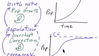 DL3 The Basic Concept of Feedback Loops with Population Growth [upl. by Shutz192]