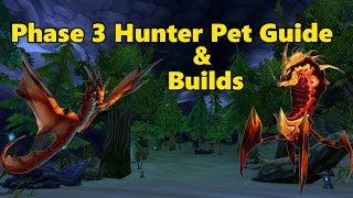 Phase 3 Hunter Pet Guide and Builds [upl. by Nagam]